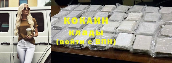 хмурый Алзамай