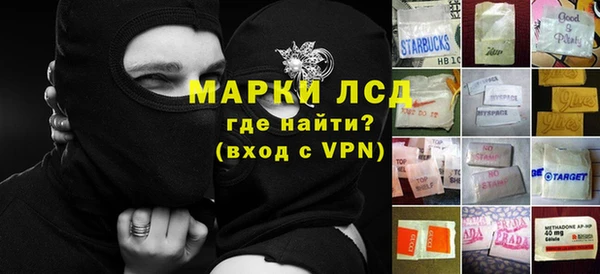 хмурый Алзамай