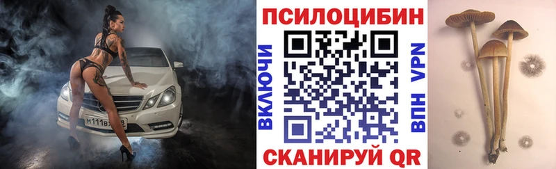Псилоцибиновые грибы прущие грибы Новая Ляля